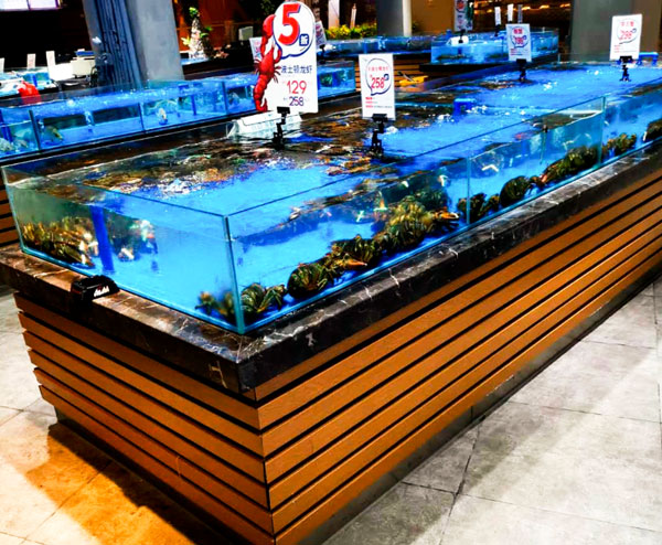 魚缸