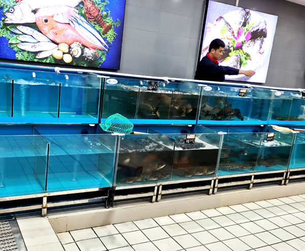 魚缸